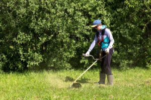 Tagliare l’Erba con il Decespugliatore